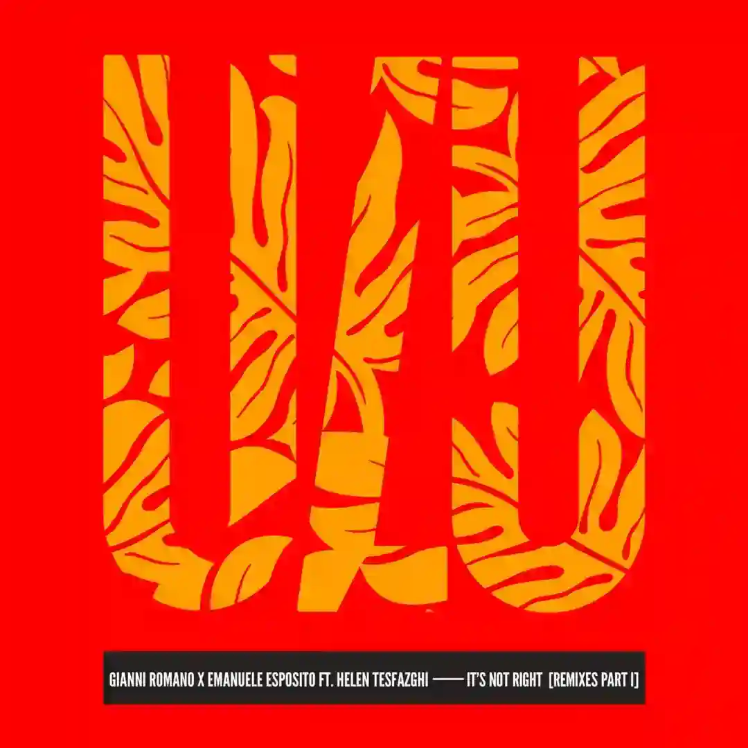 It's Not Right feat. Helen Tesfazghi (Original Mix) cover