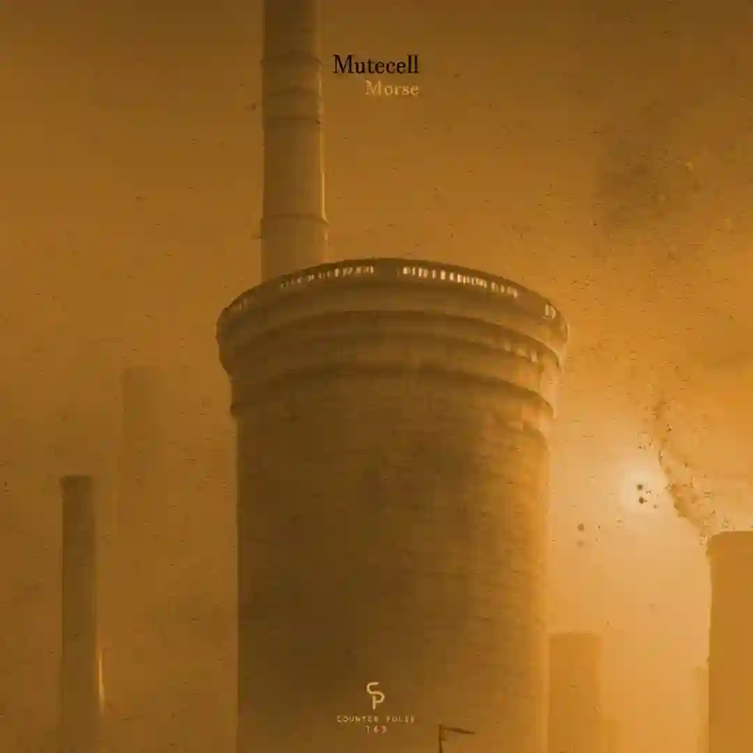 Morse (Original Mix) cover