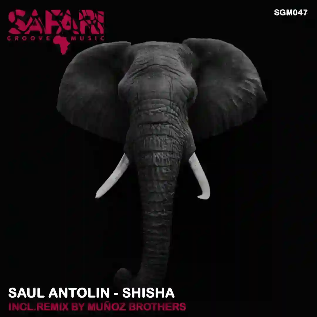 Shisha (Muñoz Brothers Remix) cover
