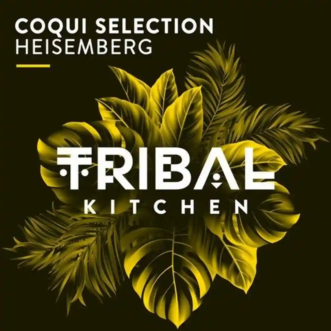 Heisemberg (Original Mix) cover