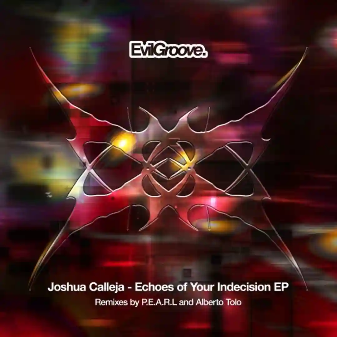 Echoes of Your Indecision cover