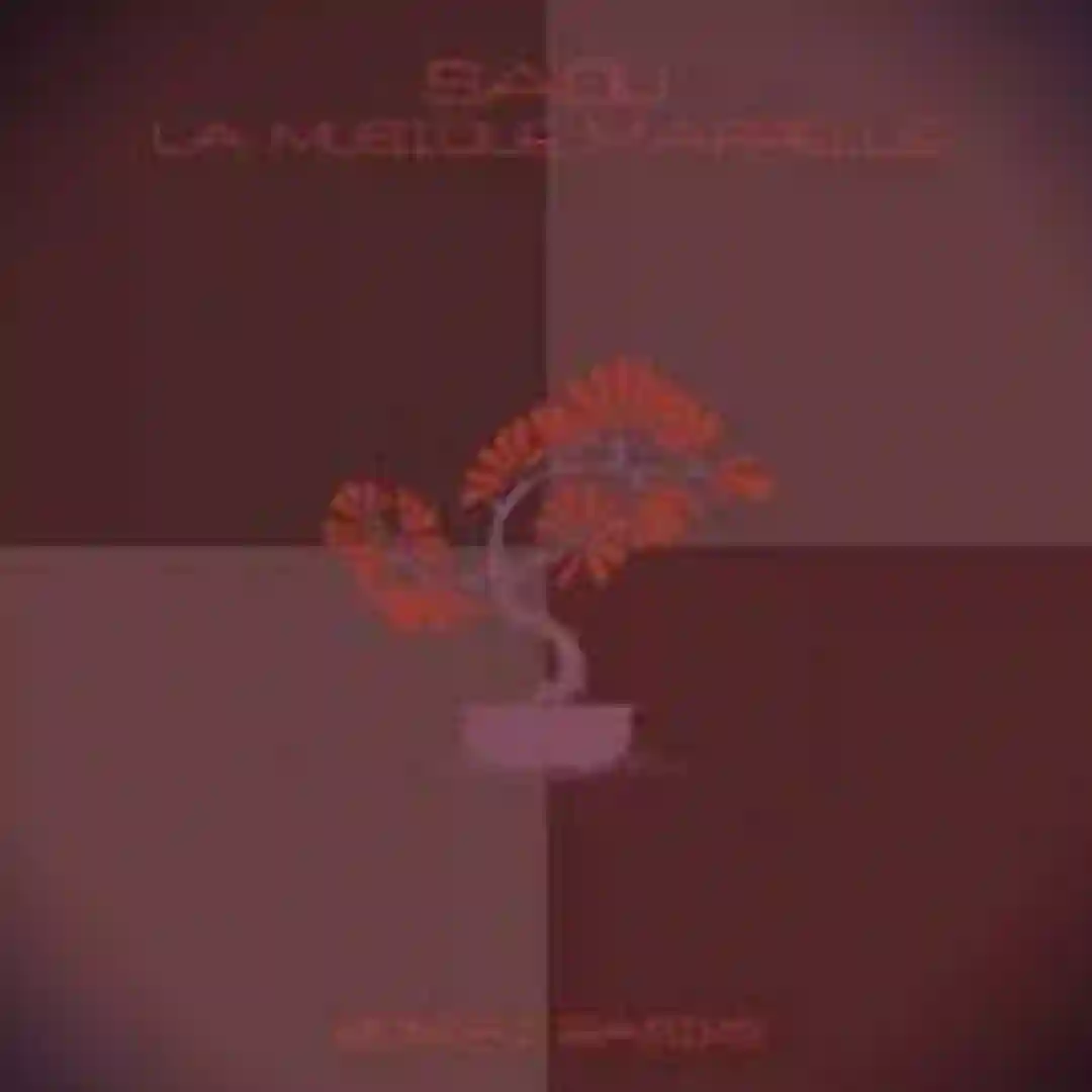 La Musique M'Appelle cover