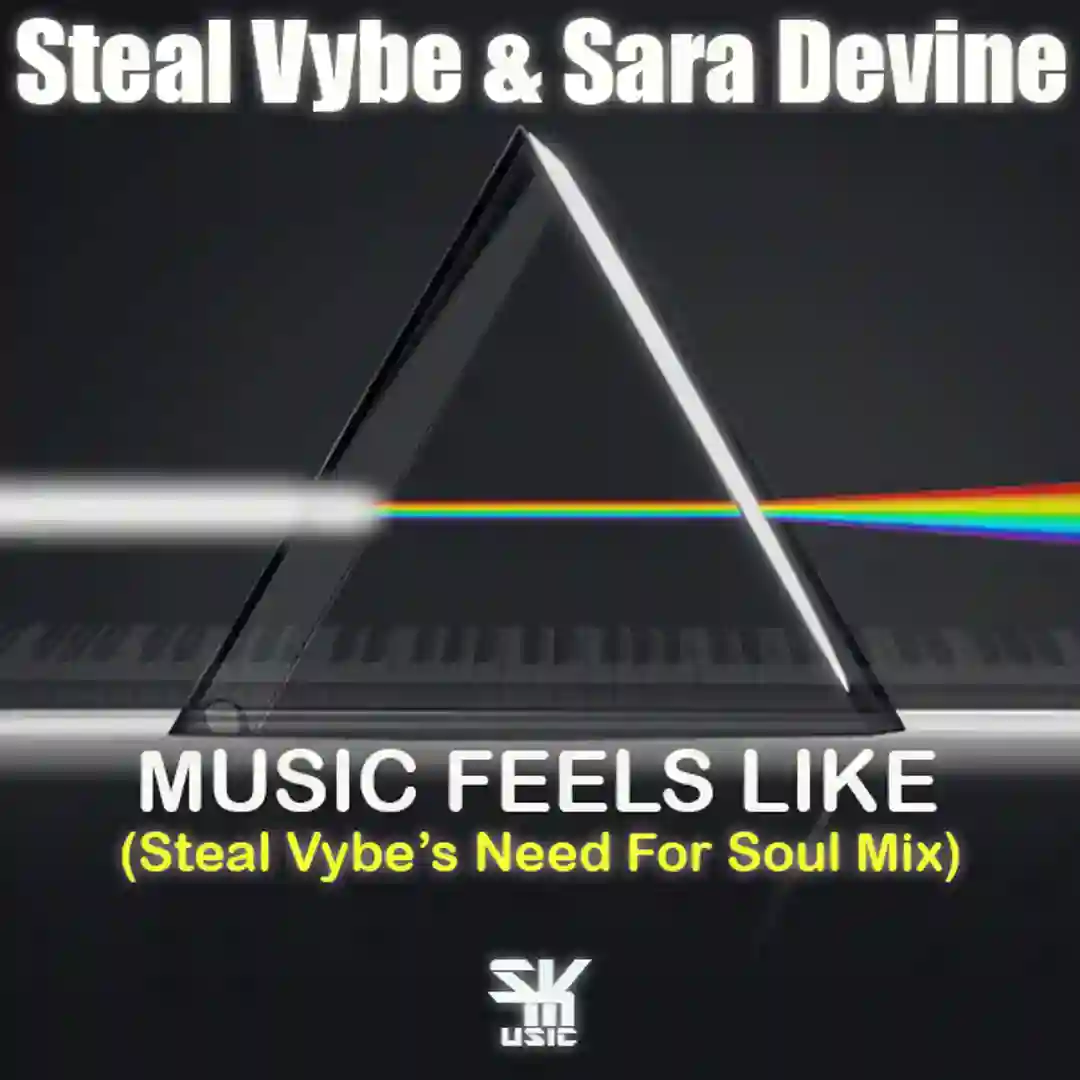 Music Feels Like (Steal Vybe's Need For Soul Mix) cover