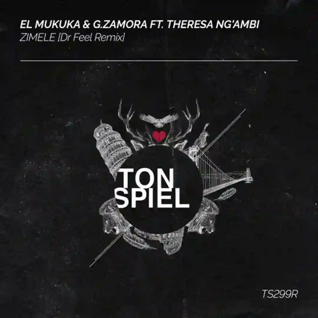 ZIMELE feat. Theresa Ng'ambi (Dr Feel Remix) cover