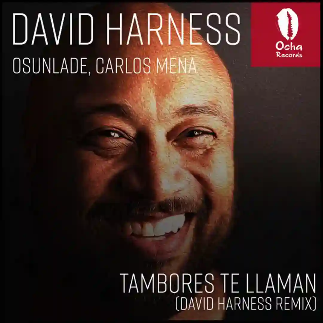 Tambores Te Llaman (David Harness Remix) cover