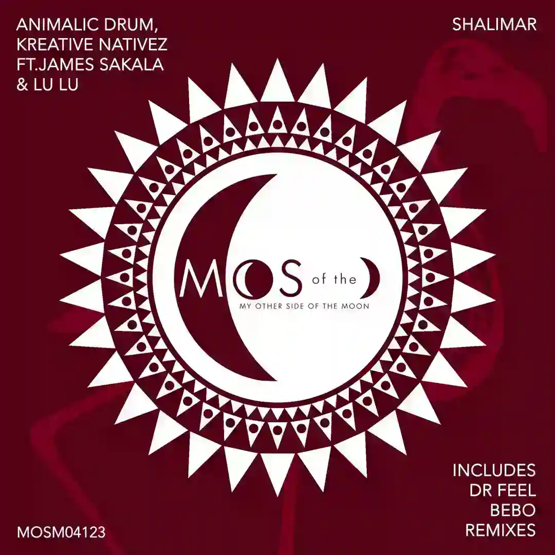 Shalimar (Bebo Remix) cover