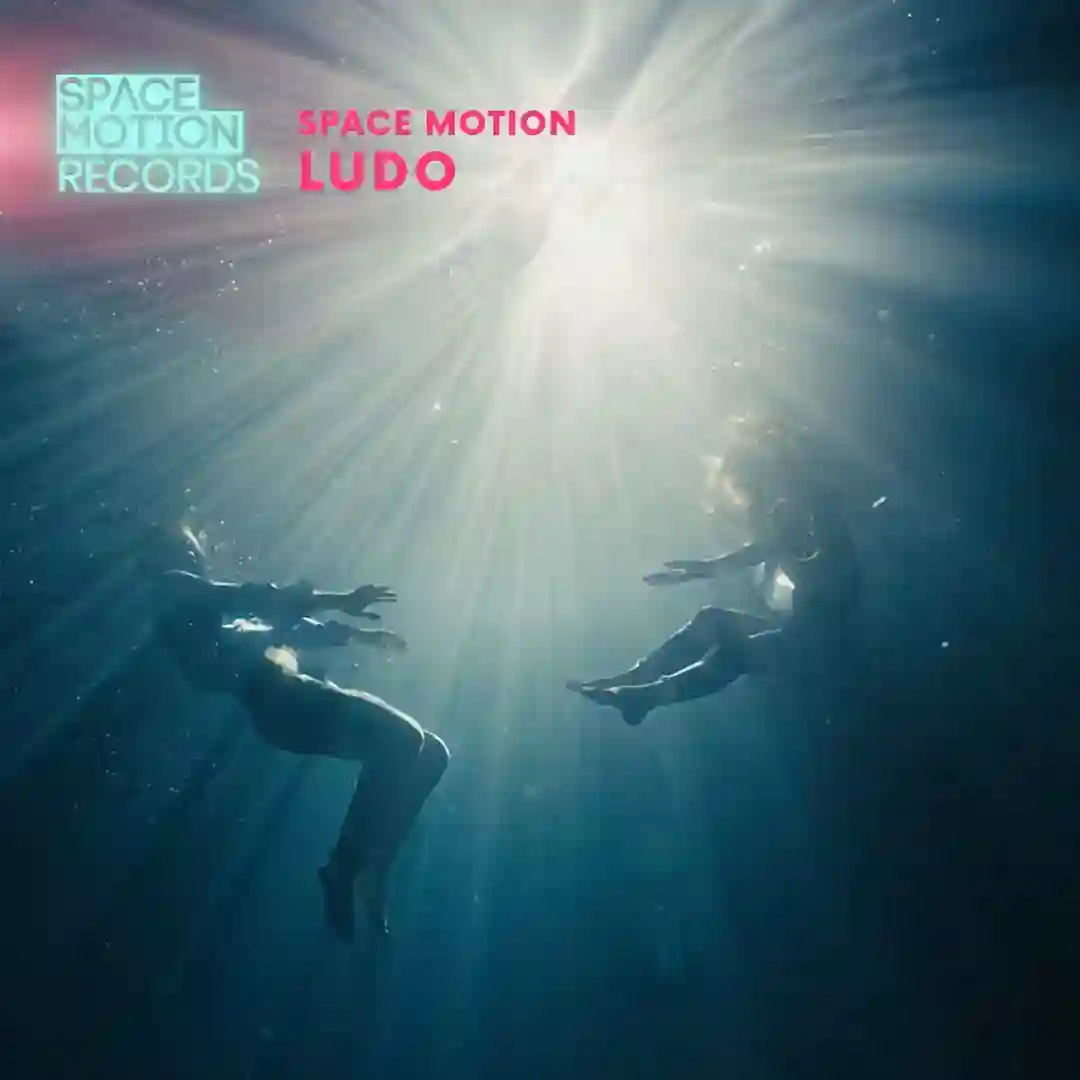 Ludo cover