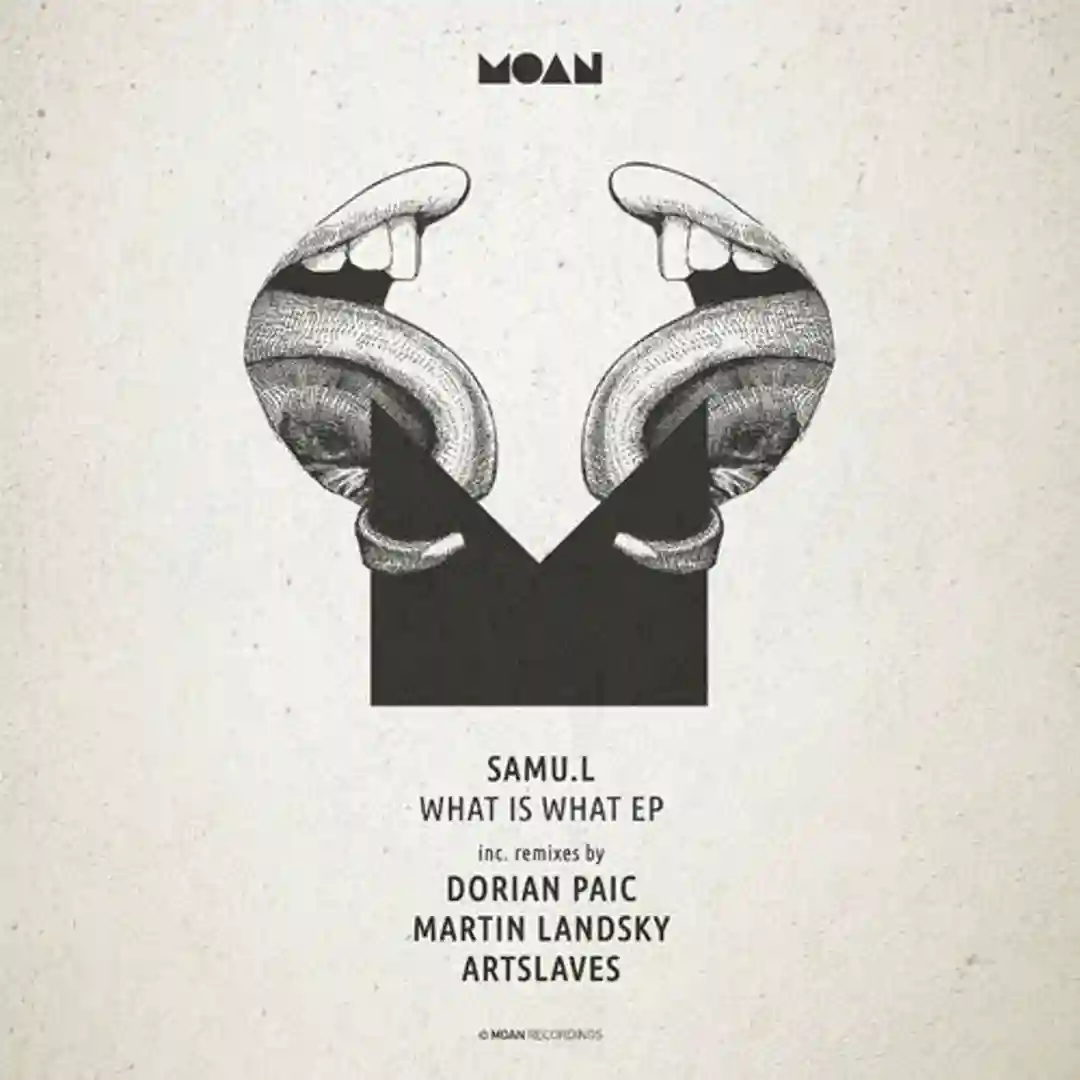 What Is What (Original Mix) cover