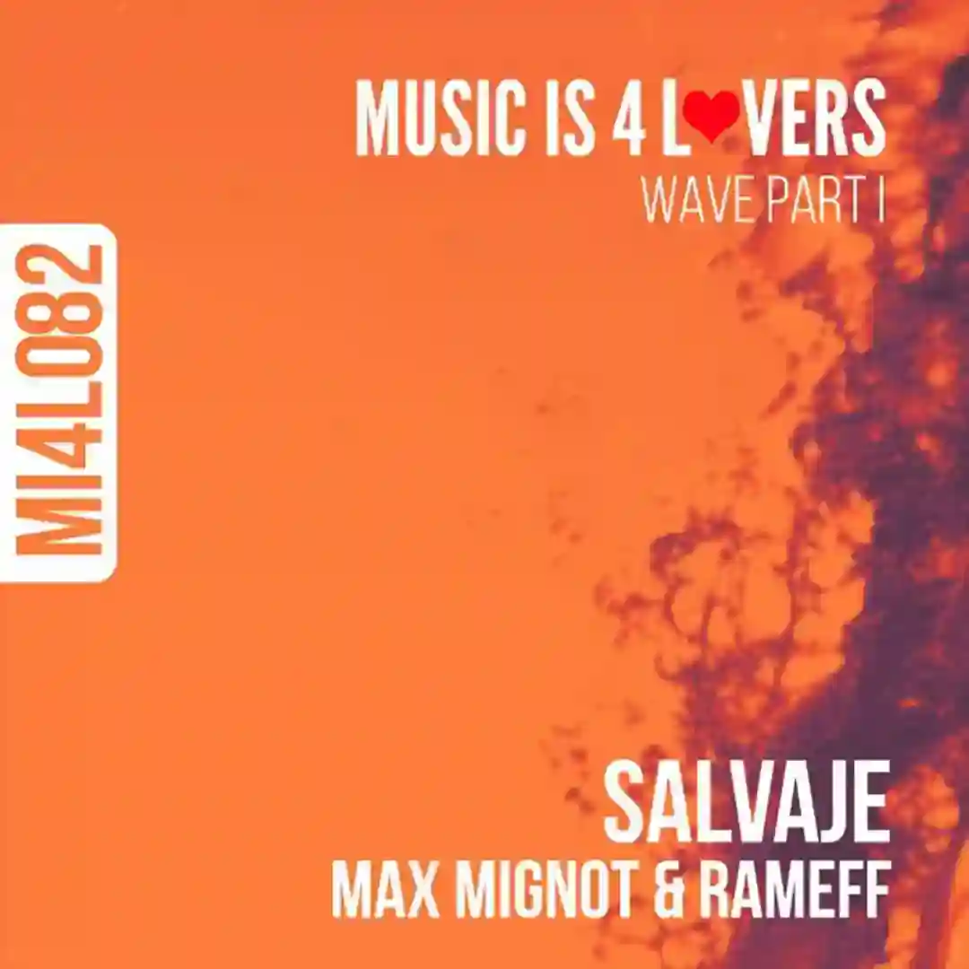 Salvaje (Original Mix) cover