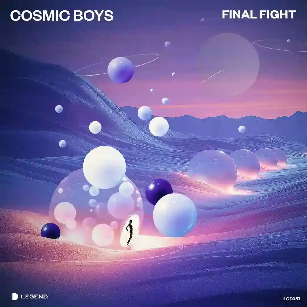 Final Fight cover