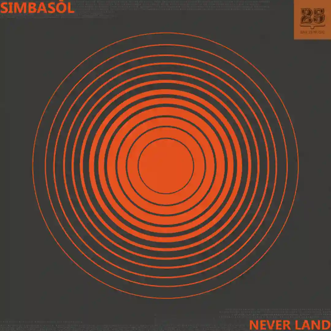 Never Land cover