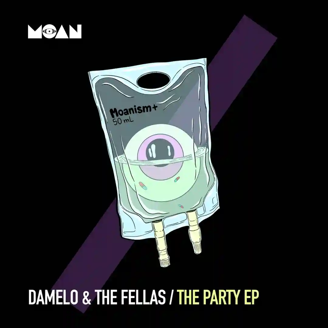 The Party (Original Mix) cover