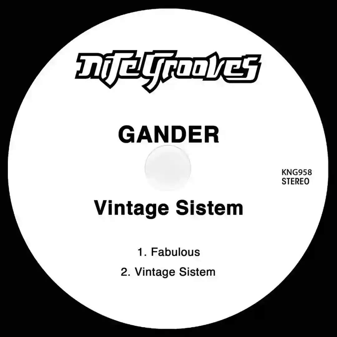 Vintage Sistem (Original Mix) cover
