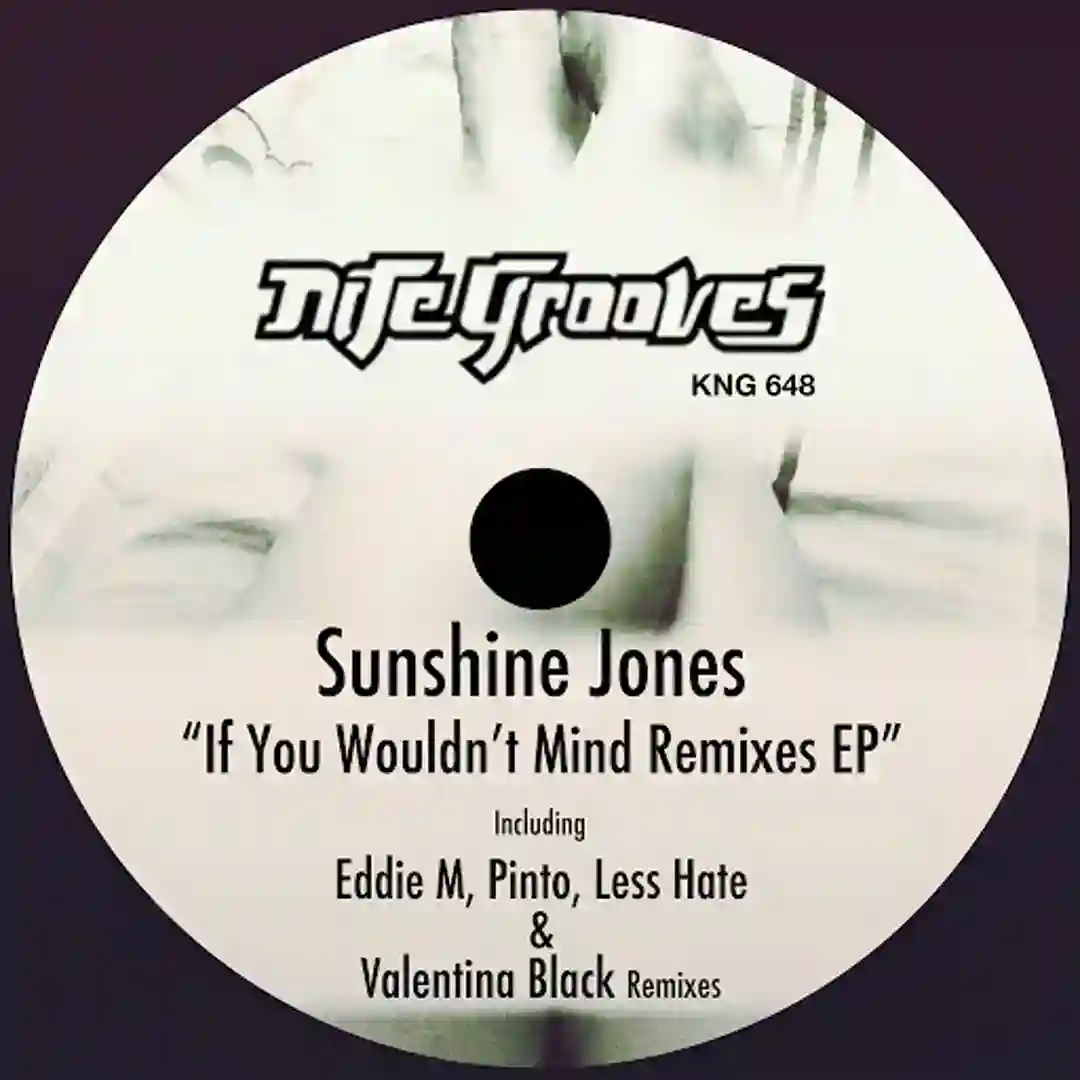 If You Wouldn't Mind (Less Hate & Valentina Black Remix) cover