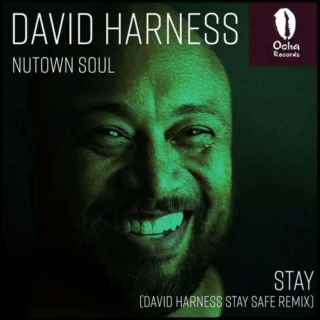 Stay (David Harness Remix) cover
