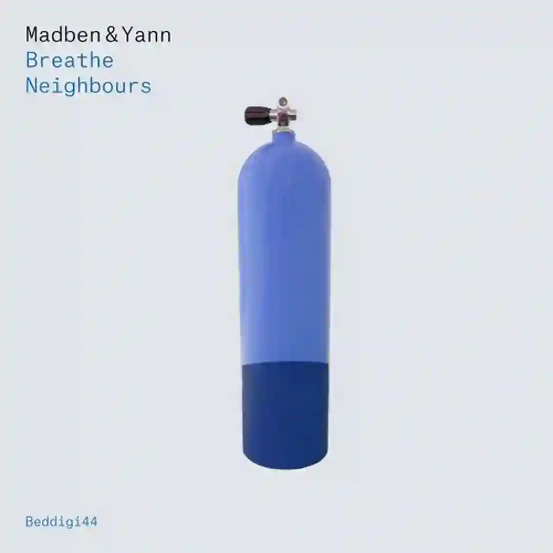 Neighbours (Original Mix) cover