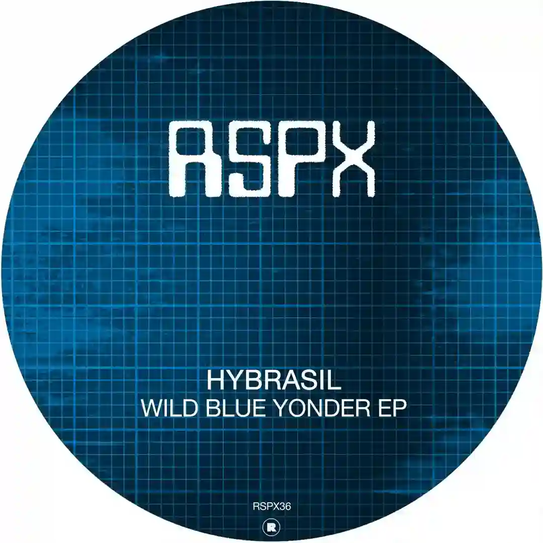Wild Blue Yonder EP cover