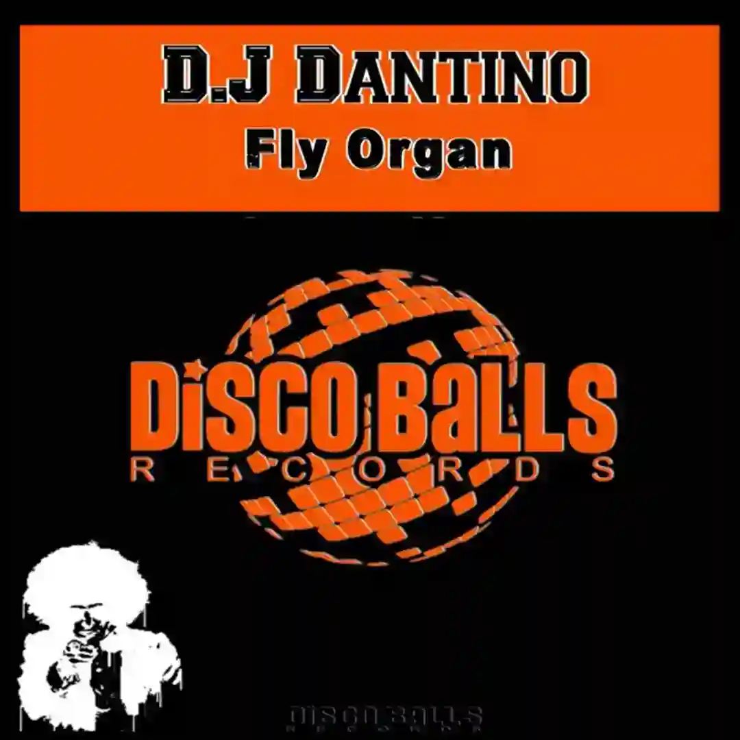Fly Organ (Original Mix) cover