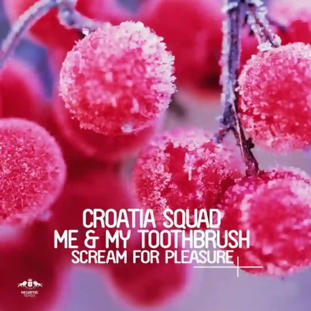 Scream for Pleasure (Original Mix) cover
