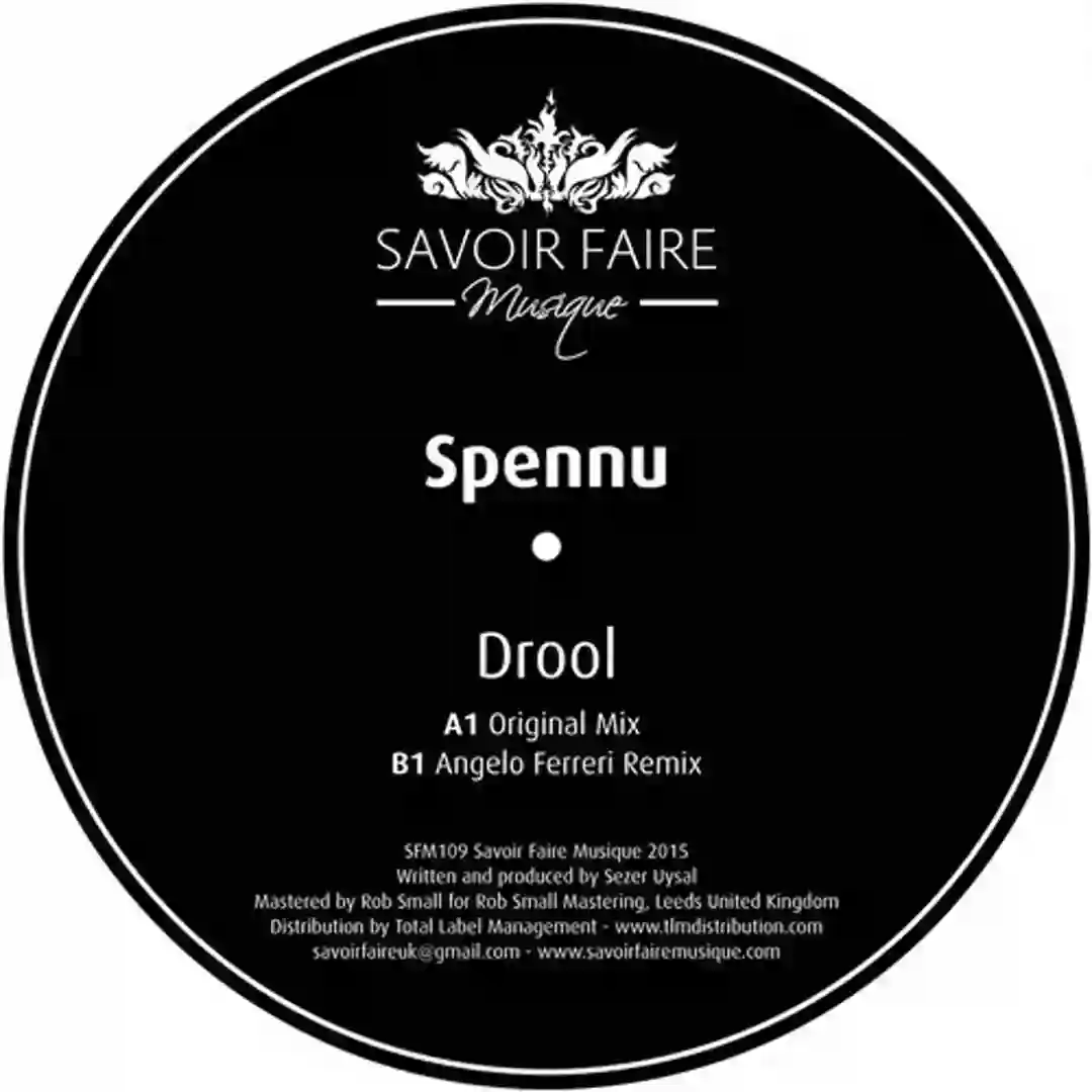 Drool (Original Mix) cover