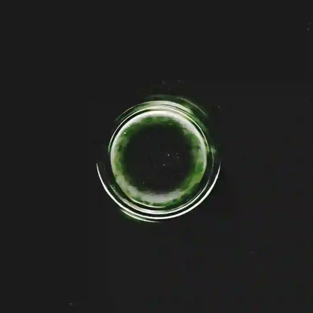 Ambientum cover