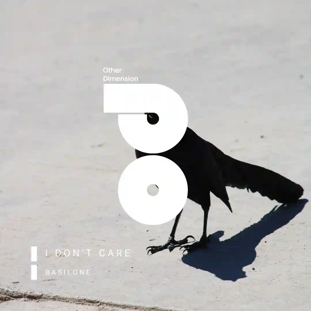 I Don't Care cover