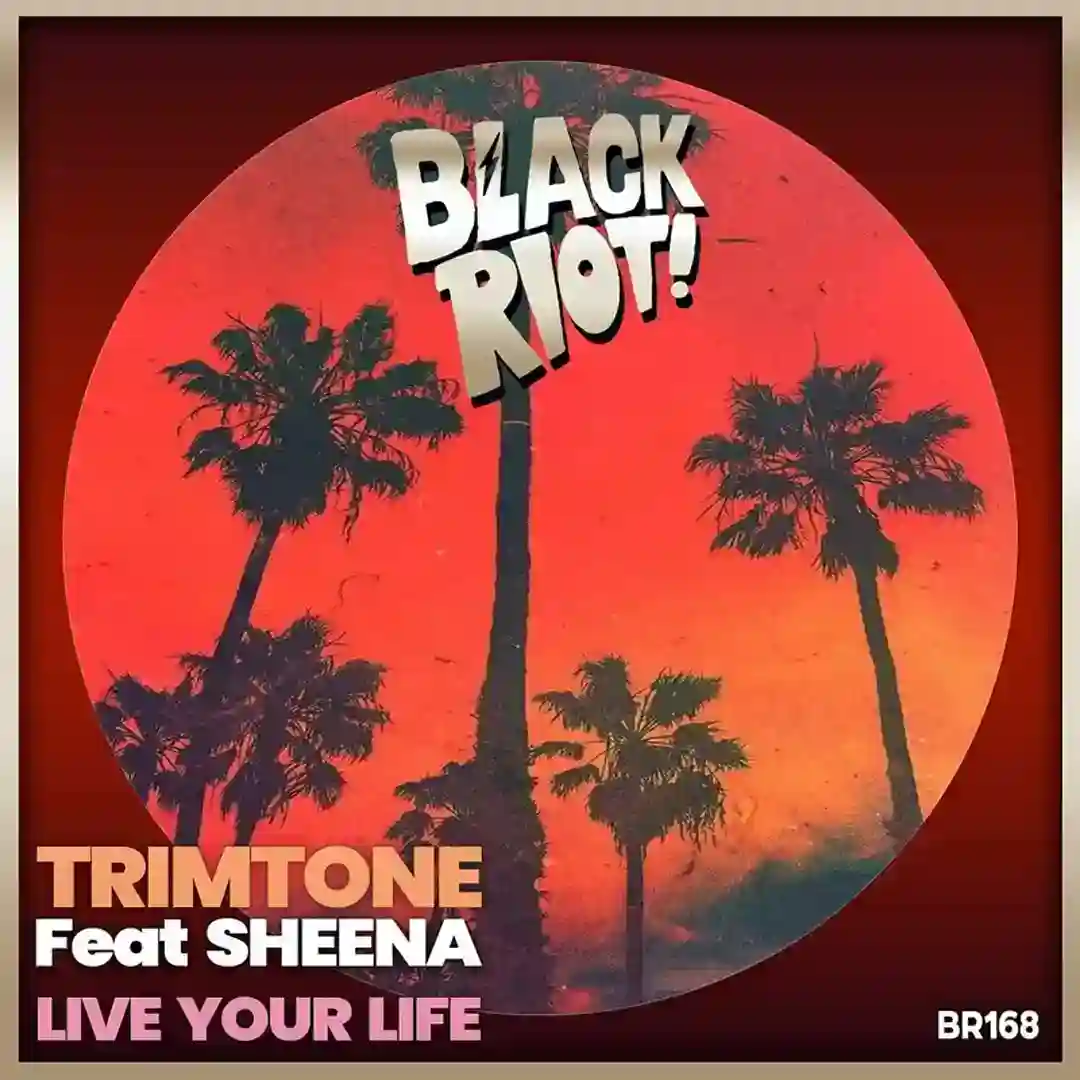 Live Your Life (Extended Mix) cover