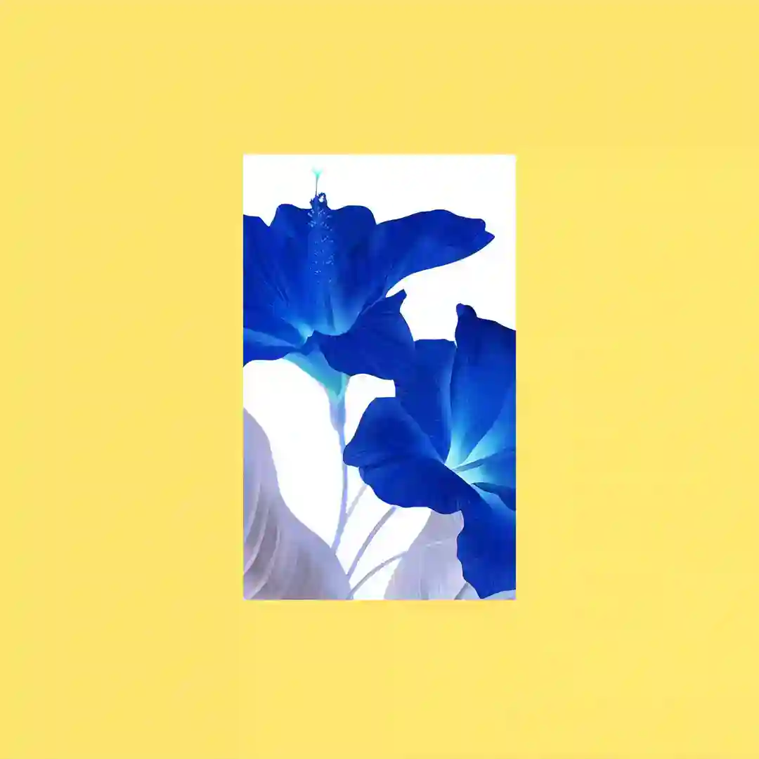 Lovin' Sun (Remix EP) cover