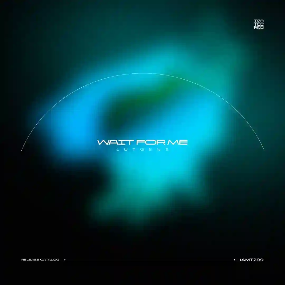 Wait for Me cover