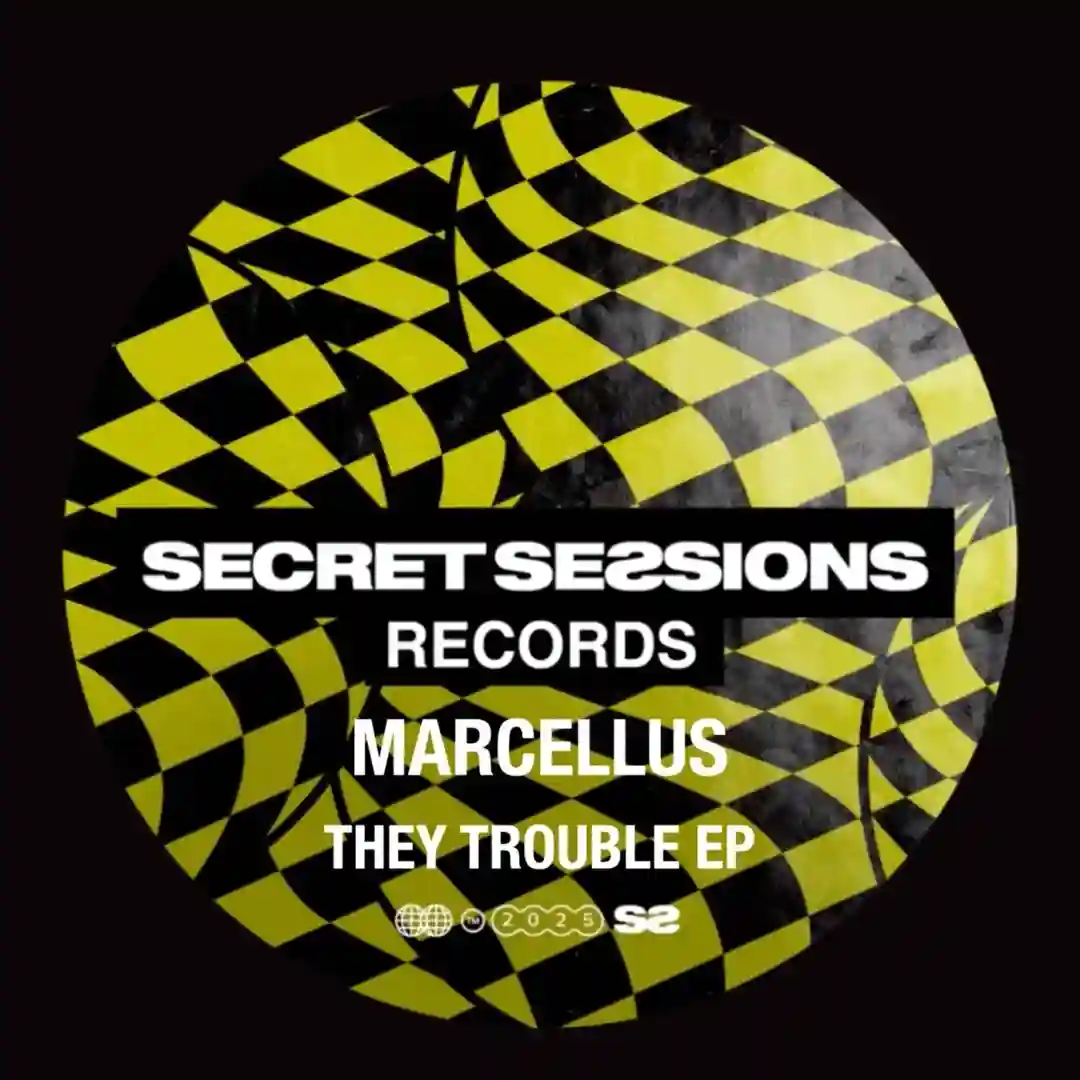 They Trouble (Original Mix) cover