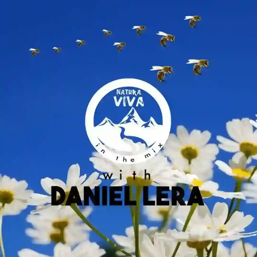 Spark (Original Mix) cover