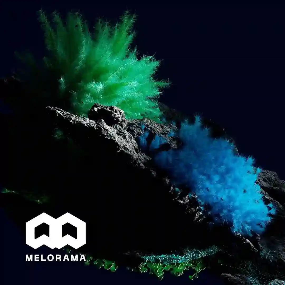 Meloram cover