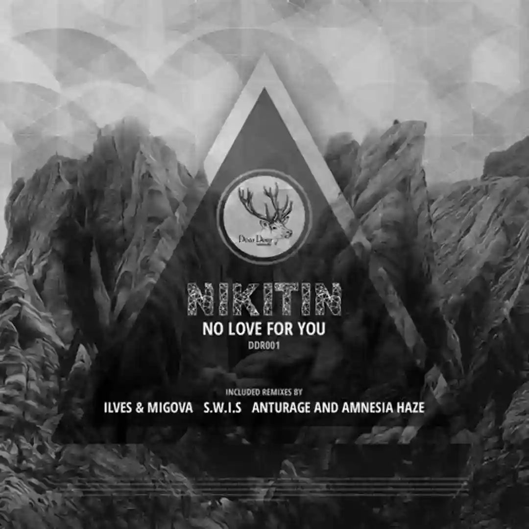 No Love For You (S.W.I.S Remix) cover