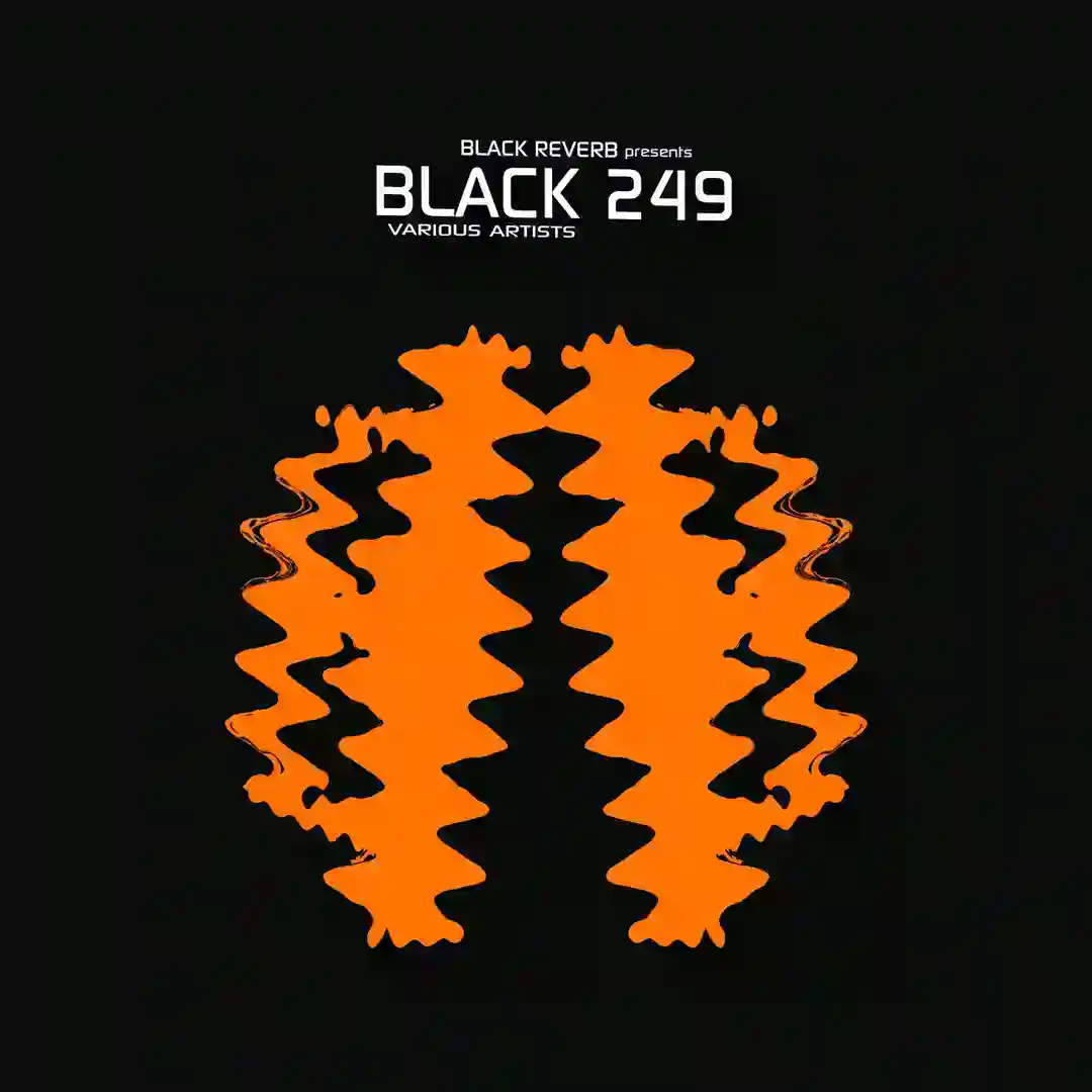 Black 249 cover
