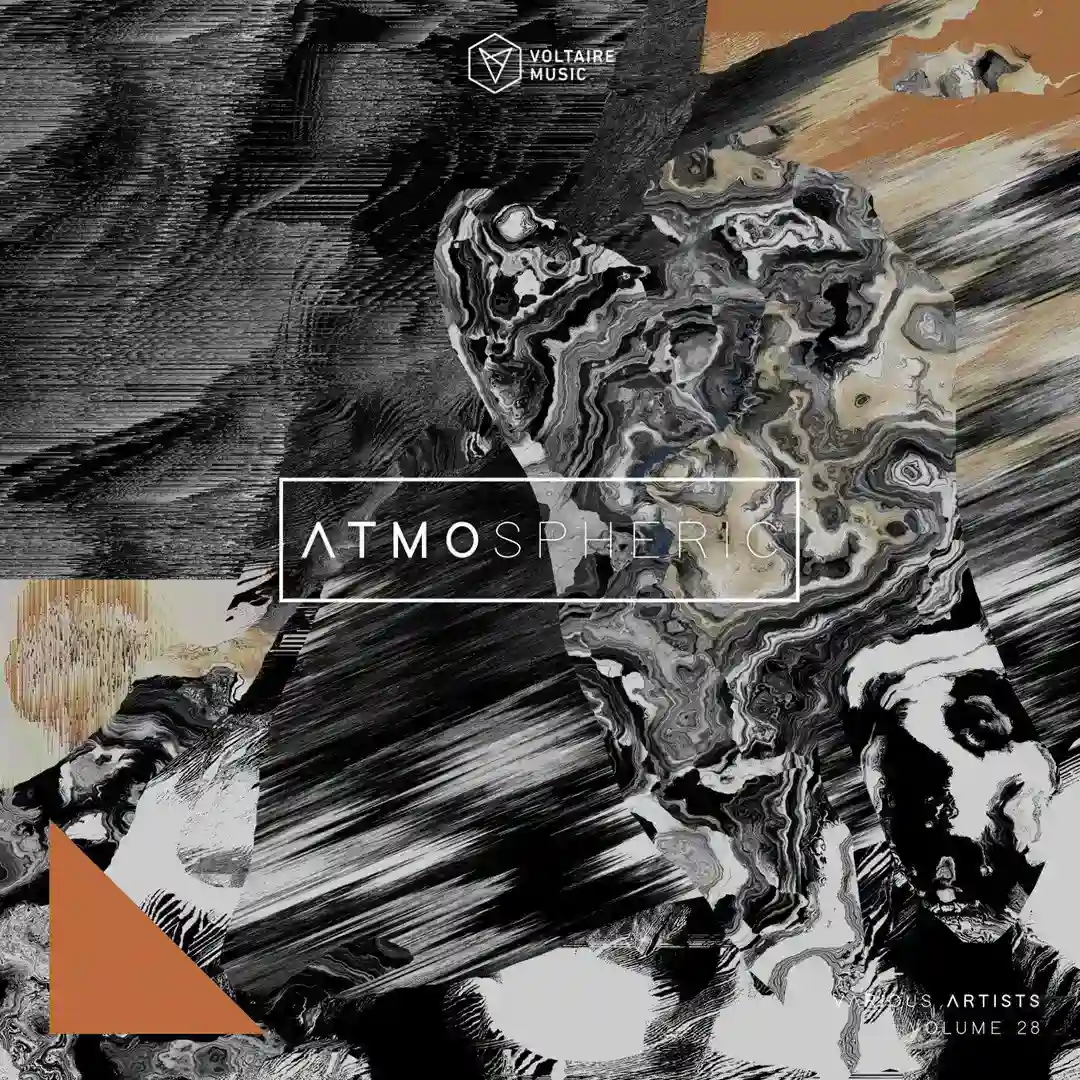 Hollow Love cover
