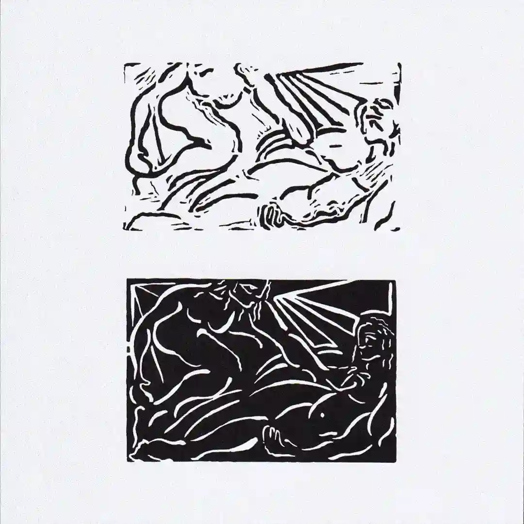 LNS001 cover