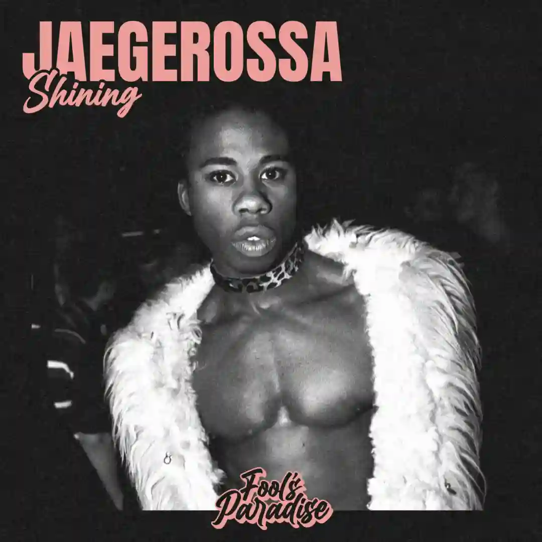 Shining cover