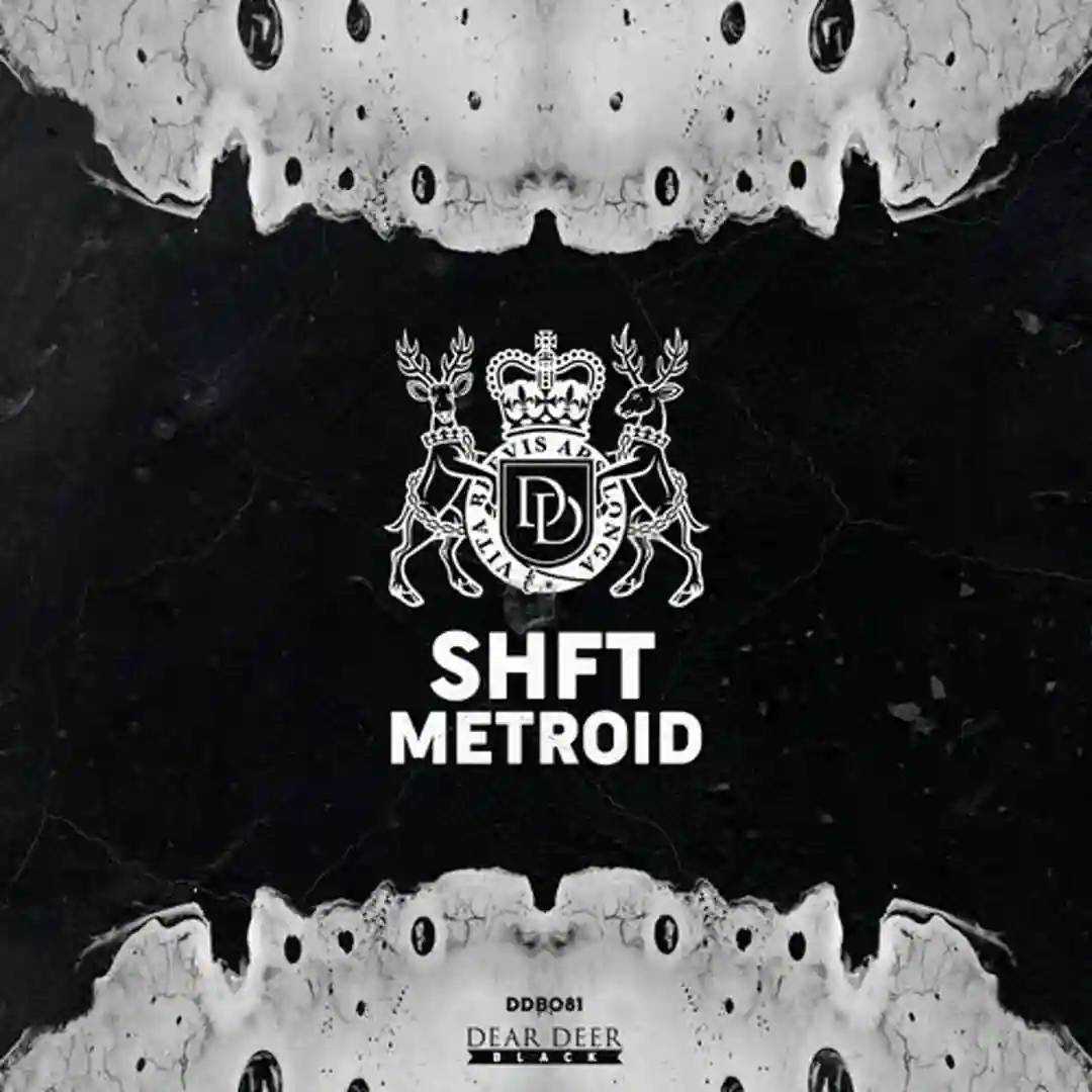 Metroid (Original Mix) cover