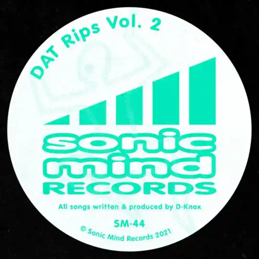 Dat RIP 08 (Original Mix) cover