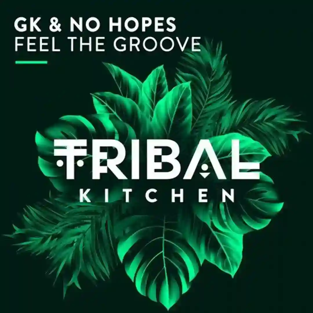 Feel The Groove cover