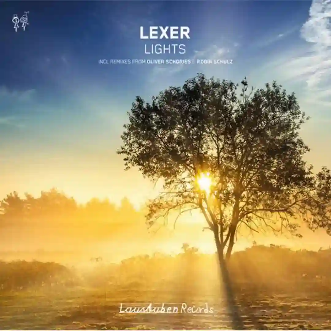Lights (Original Mix) cover