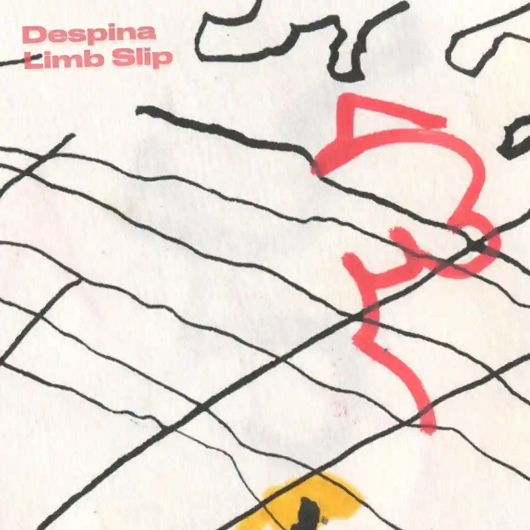 Limb Slip cover