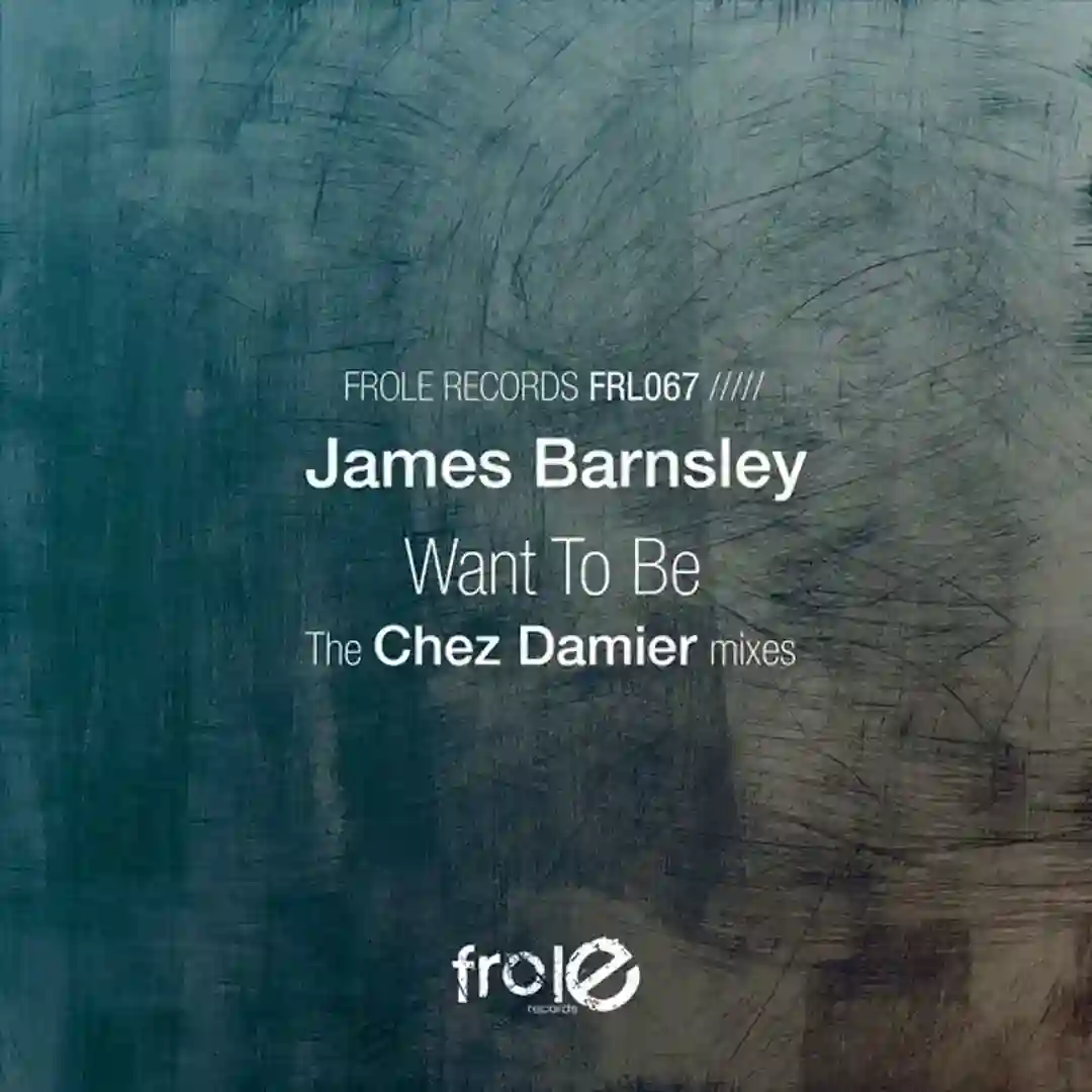 Want To Be (Chez Damier Master Demo) cover
