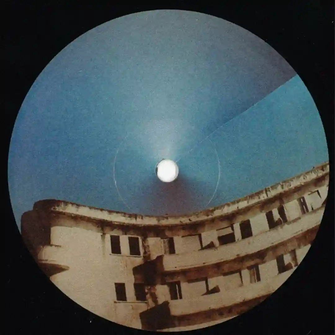 700Louse cover