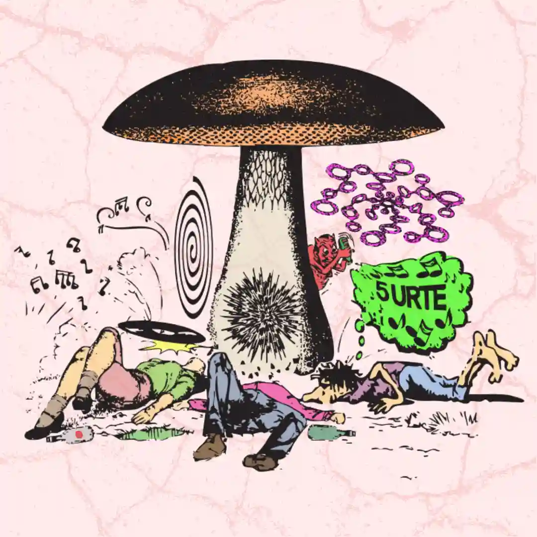 Larrosa (Original Mix) cover