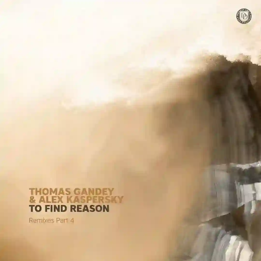 To Find Reason (Luigi Gori & Larsun Hesh Dub Remix) cover