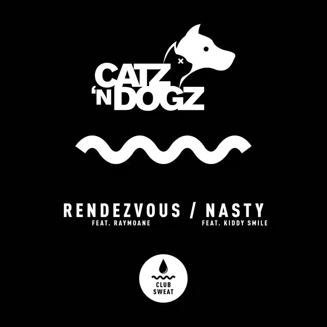 Nasty feat. Kiddy Smile (Extended Mix) cover
