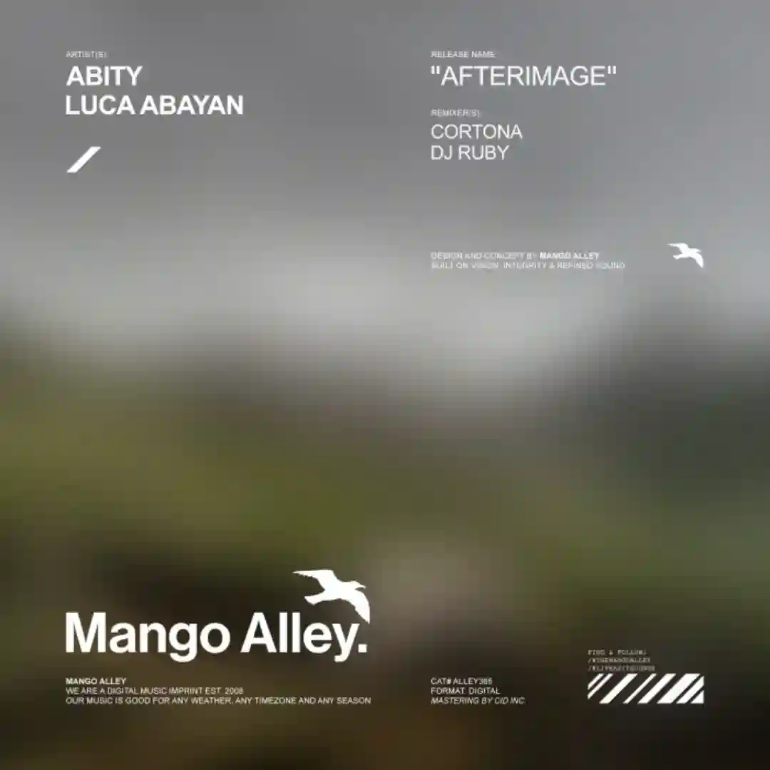 Afterimage (DJ Ruby Remix) cover