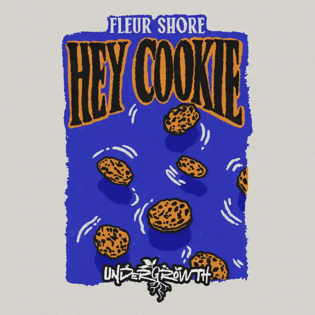 Hey Cookie (Extended Mix) cover