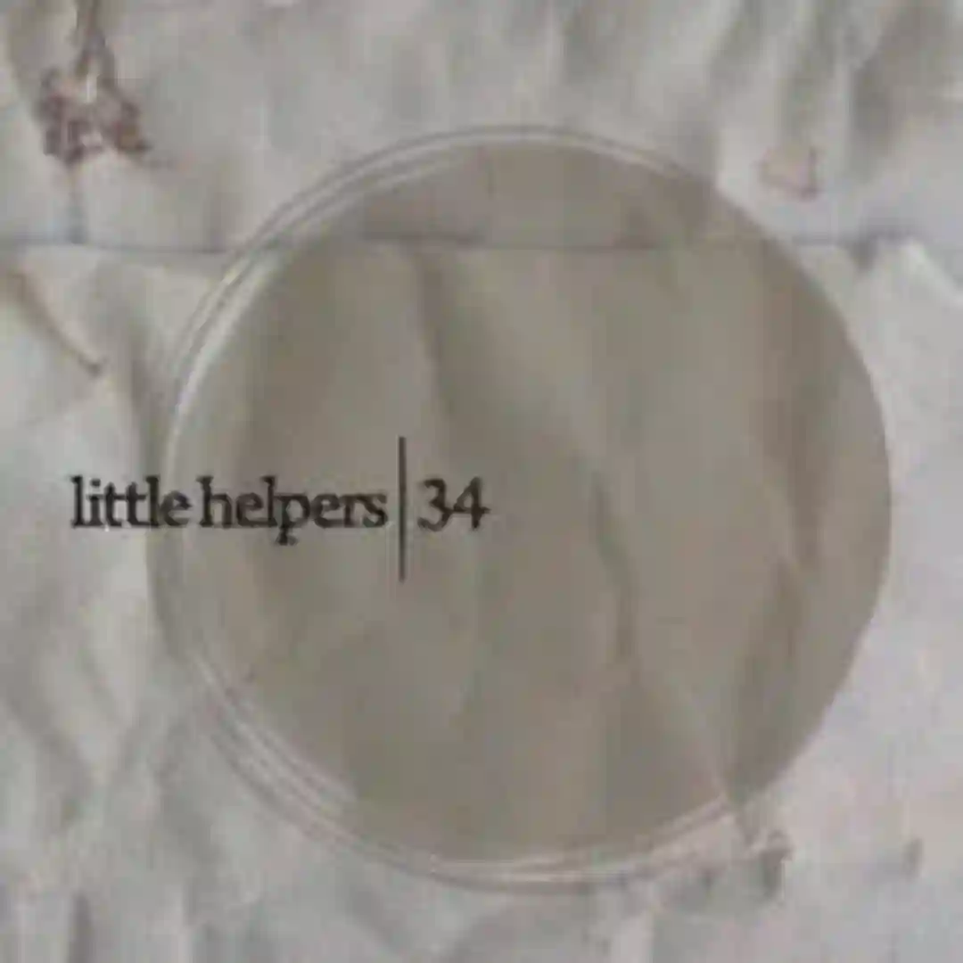 Little Helper 34-2 cover